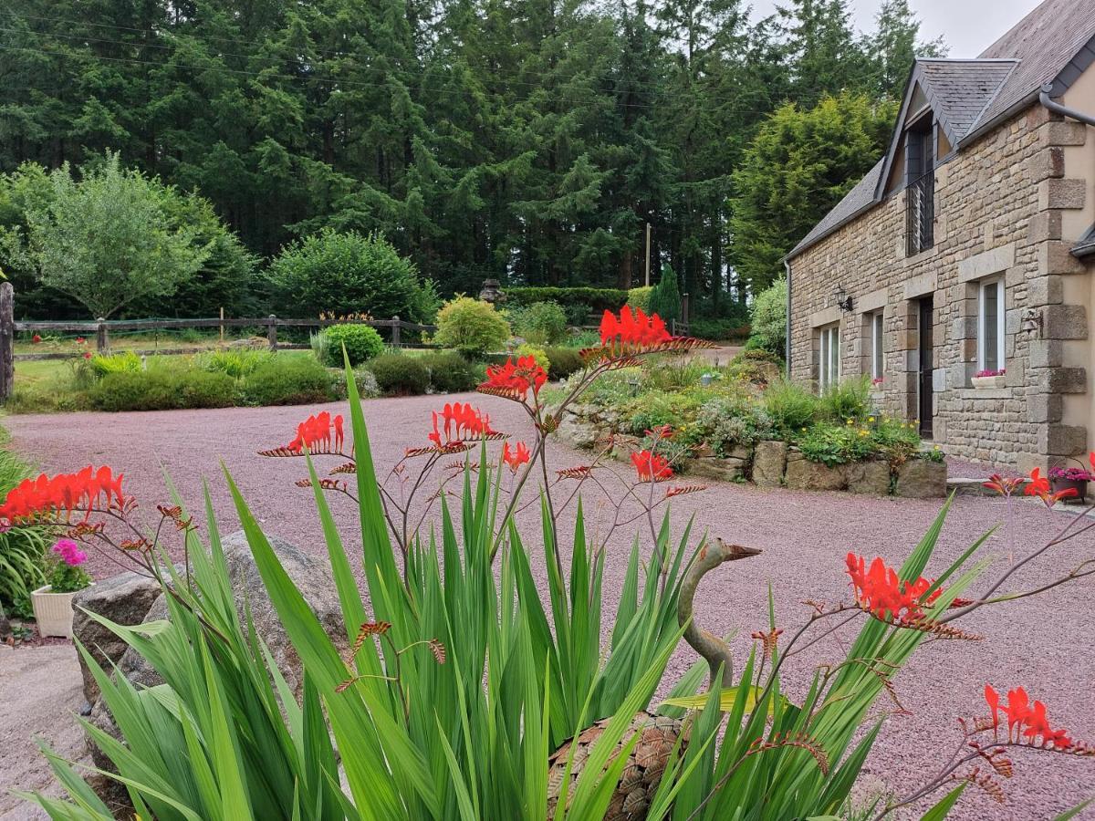 Bed and Breakfast Le Petit Bois Normand - Chambre D'Hote Champ-du-Boult Екстер'єр фото